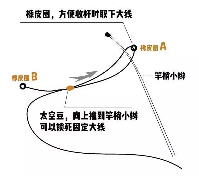 用鱼线套逮鸽子的图片图片