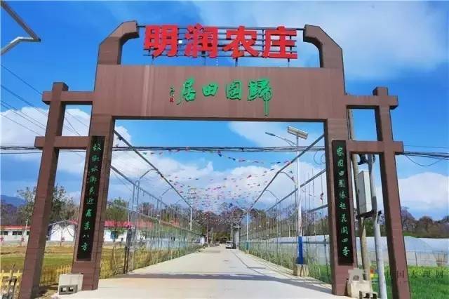 今天上午,参与归园田居农庄明润荷塘垂钓的60多名钓友有福了,他们不仅