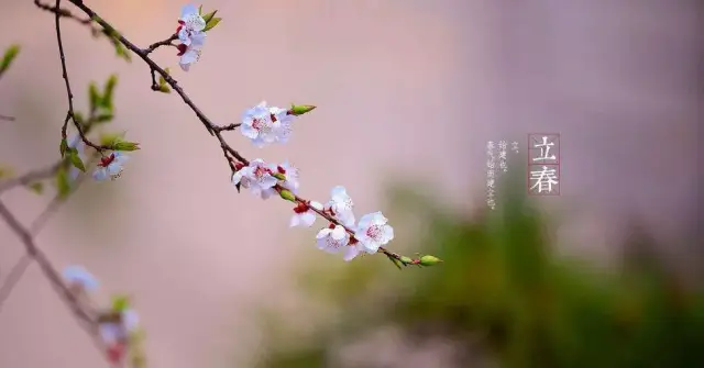 这，就是二十四节气最美的诗词_手机搜狐网