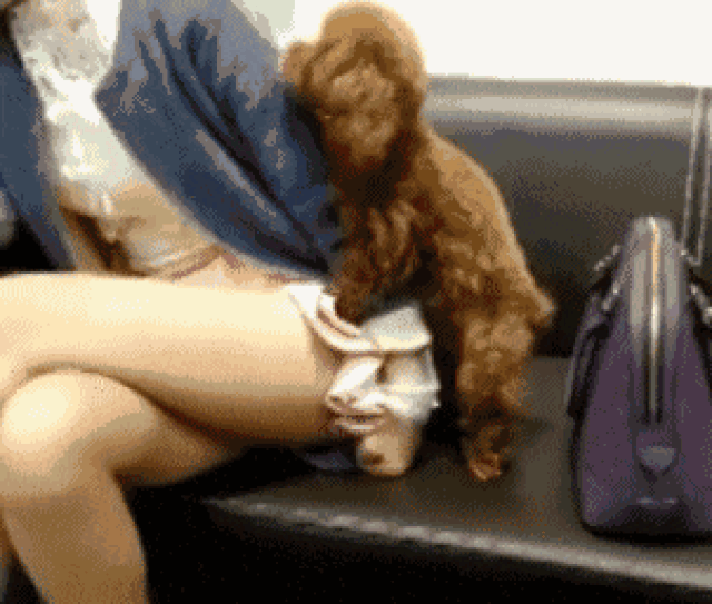 302_256gif 动态图 动图