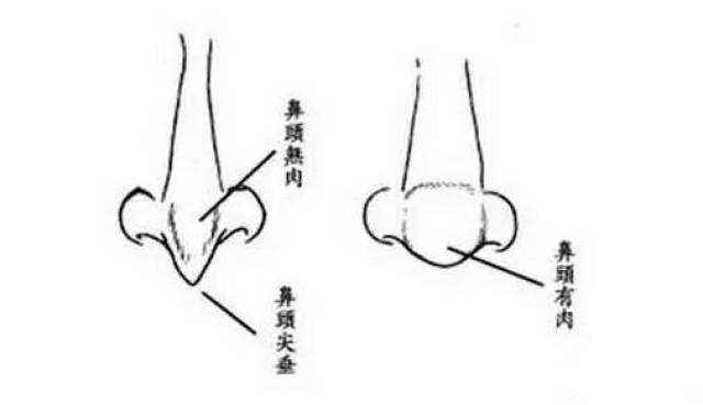 善良之人面相长这样