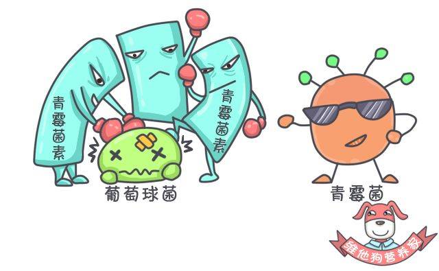 抗菌药物图片卡通图片