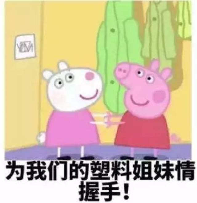 塑料姐妹花表情包图片