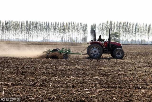 为什么安徽人那么爱吃细菌?