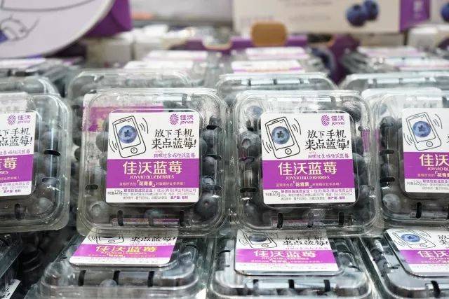 的蓝莓种植商,智利最大的蓝莓出口商hortifrut在智利合资共建种植基地