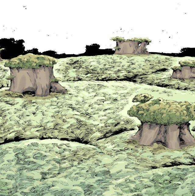 漫画家胡伟:有时候想想,会觉得放弃也许也不错.但是