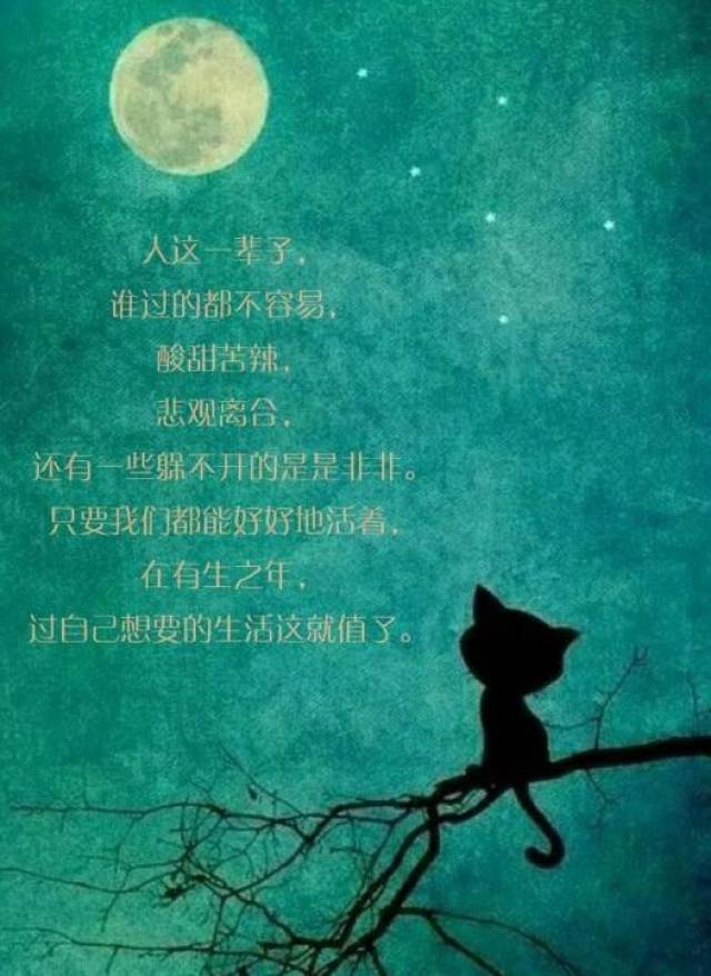 淡定人生路 | 作者/悠然◆朗诵:雨弦