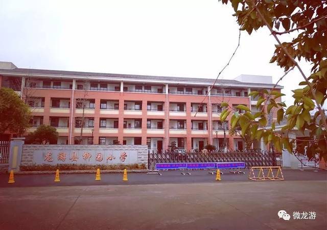 浙江高考志愿填报：如何把握未来方向？