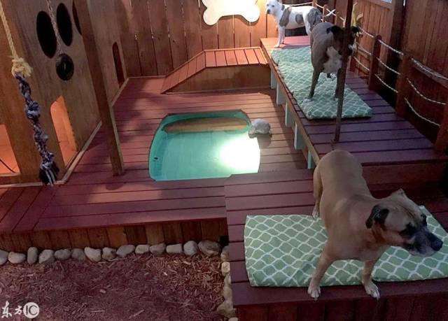 主人为狗狗打造的豪宅,网友:这不就是带海景的豪华别墅吗