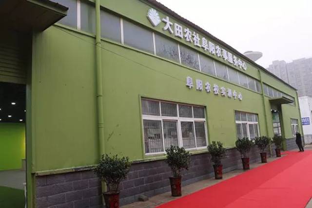 农具批发市场:传统与现代交织