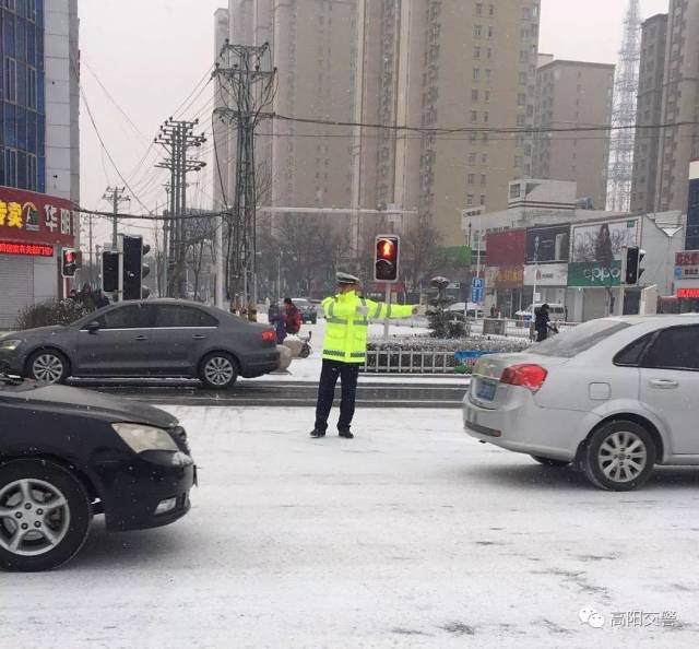 下雪了,高阳这些"雪人"都会动!
