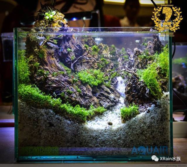 办公桌上放一口迷你小草缸