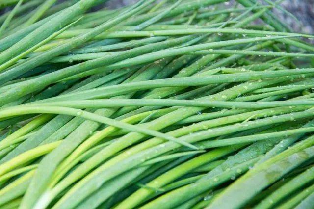 就是这家葱饼店,你没有吃到停不下来算我输!