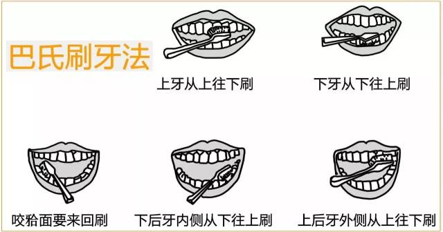 排牙的方法步骤图解图片
