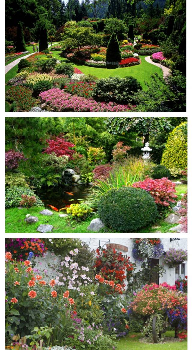 庭院植物意向图,庭院植物效果图_大山谷图库