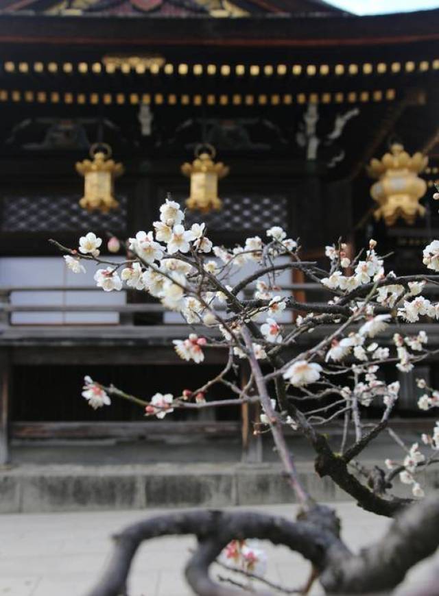 《腊月八日于剡县石城寺礼拜》