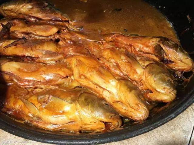 1月27日一起去乌审旗看红火走