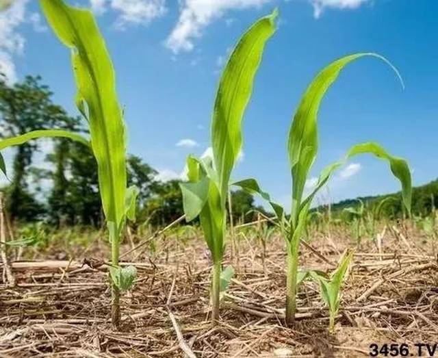 2018全年气象最新预测!