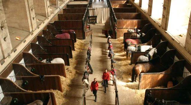 你听说过活马博物馆吗