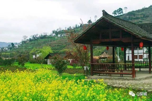 地址 :贵阳市开阳县禾丰乡马头村
