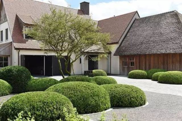 创意合集丨如果球形灌木都能剪成这样