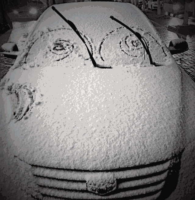 这雪要下到……_手机搜狐网