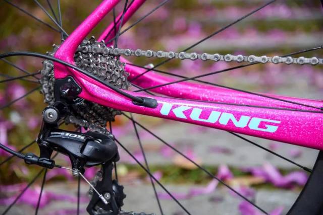 kung x incolor x lawyer don定制涂装公路车