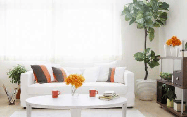 2018Amazon选品技巧,美国海运快船货代思淇