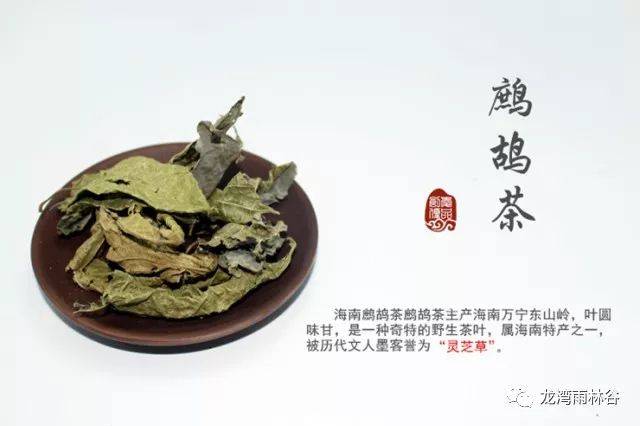 海南特产鹧鸪茶