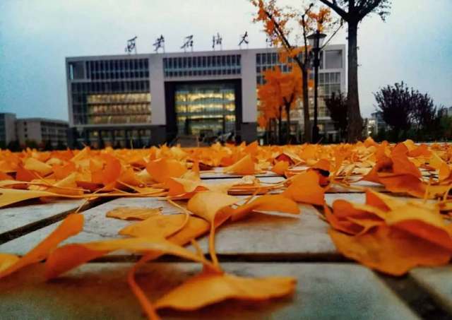 西安石油大学