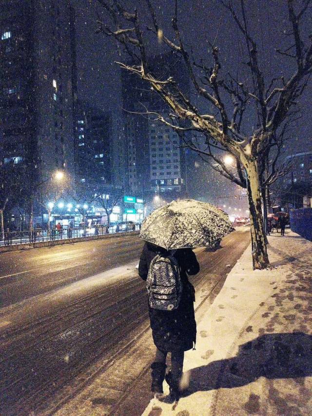 魔都上海的雪,下的那么深,美的那么认真