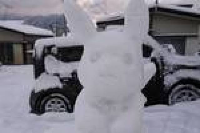 哈哈哈,还有mini版 岛国人民是有多爱皮卡丘