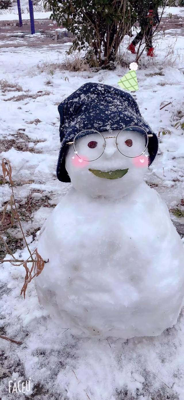 各种雪人造型图片