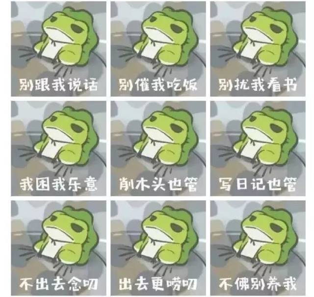 老人 你的蛙儿子会自己吃饭 背着你偷摸摸写日记 打瞌睡也坚持学习