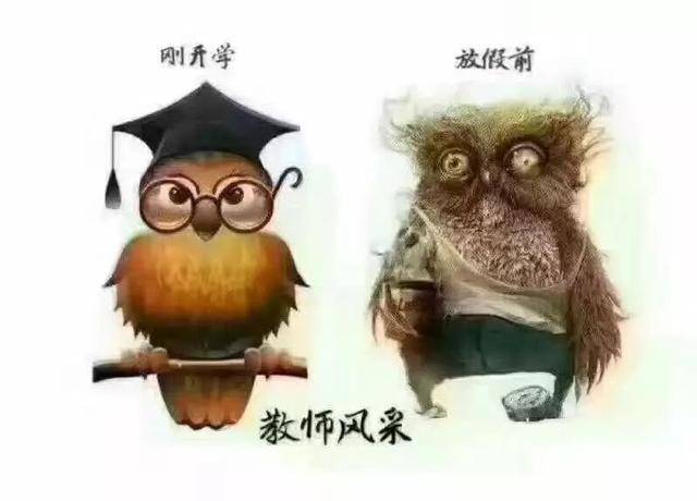 期末考试下线|这是最贴切的关于老师,家长,学生的比喻了
