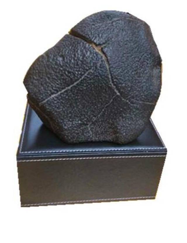 快报:密歇根州流星的第一块碎片已被找到