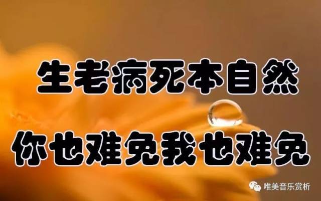 一曲《家家有本难念的经》句句经曲,太美了,送给我的朋友圈!