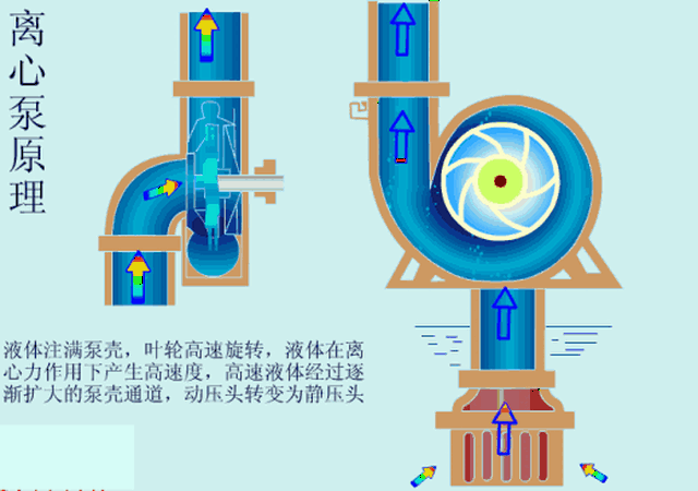 一文教你如何正确选择化工泵!附泵结构原理动图