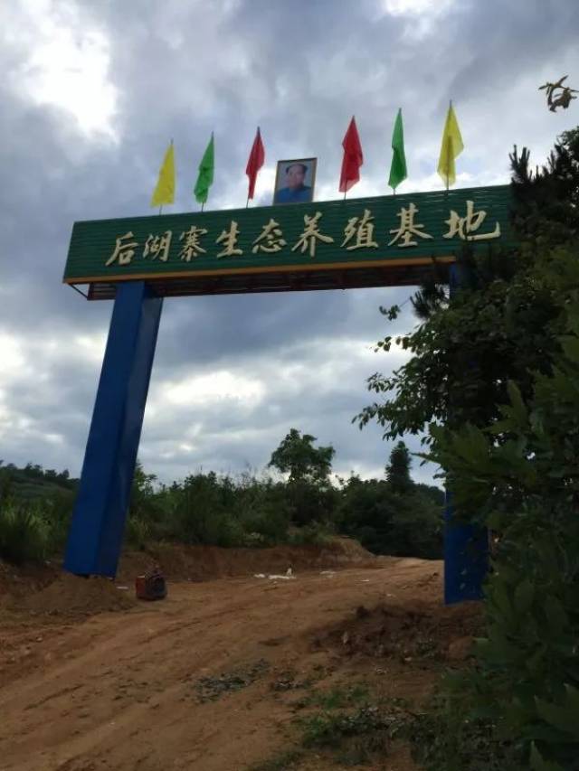 山上搞养殖挣钱吗(山上搞养殖挣钱吗现在)
