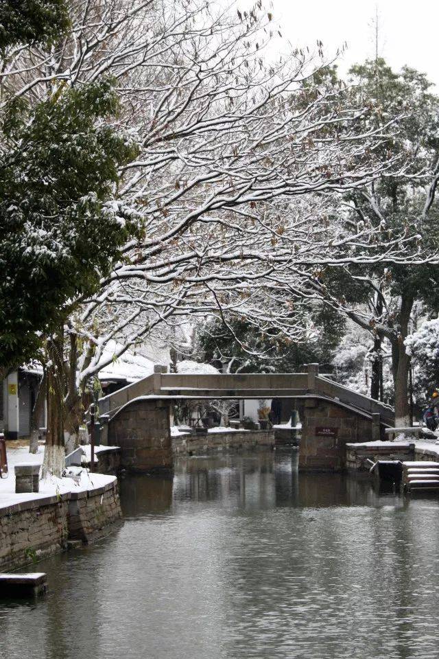 朱家角史诗级高清雪景来啦!