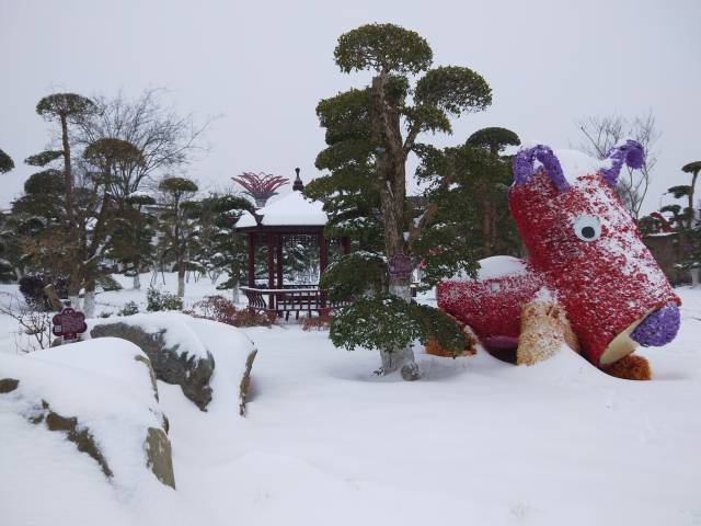 新洲紫薇都市田园雪景图片
