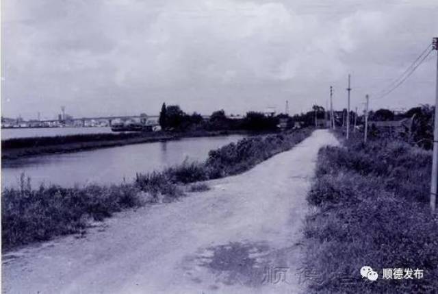 【顺德故事】40年前的德胜河一河两岸原来长这样