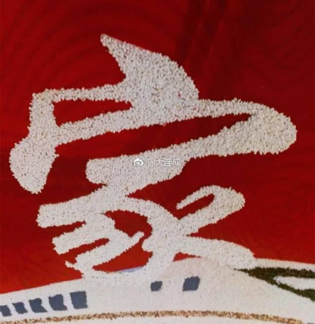 大连火车站现巨幅谷物拼图 十种谷物拼出"回家范儿"