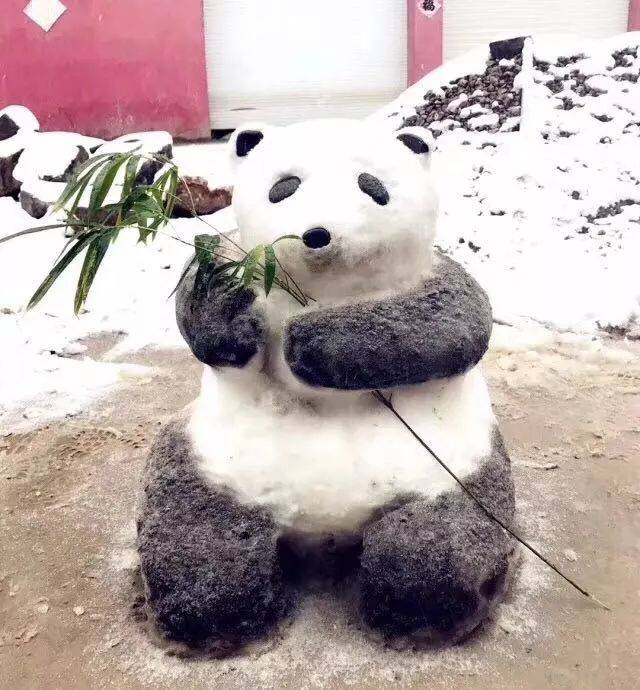 宜兴人你把雪人堆成这样是要笑死我吗?新一波雪景来袭