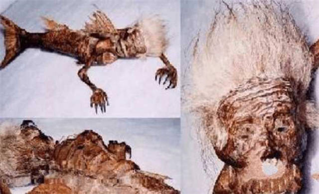 世界上有美人鱼吗？ 美人鱼真的很美吗？插图2
