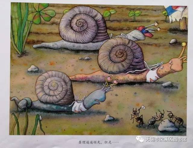 燕子老师讲绘本——瑞士作家利茜尔的《小蜗牛找房子》