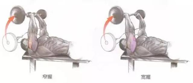 杠铃仰卧臂屈伸如何练?你的肱三头肌够发达吗