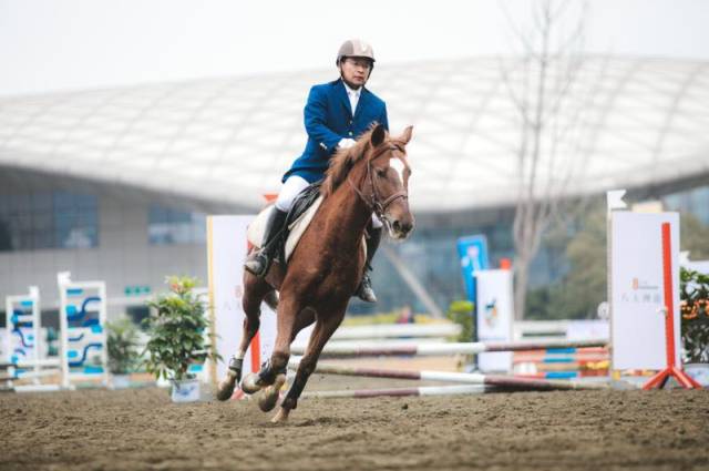 首届"豪威贺岁杯"马术比赛在成都中国现代五项赛事中心圆满落幕_手机