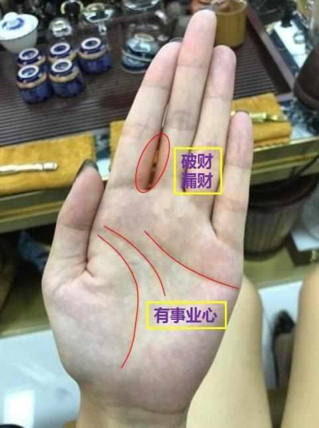 你的手相可以用一句话来形容,就是鱼和熊掌不可兼得,你这属于标准的