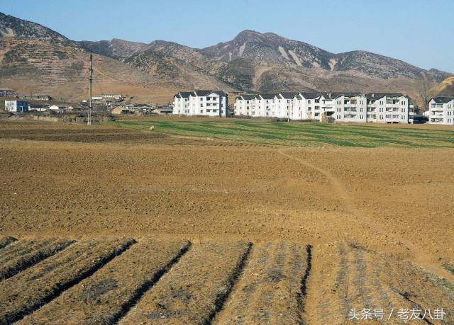 实拍真实的朝鲜农村,生活质朴粮食够吃,连排别墅都不在话下